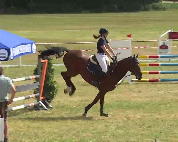 Reitturnier Bad Windsheim/Mfr. 2022