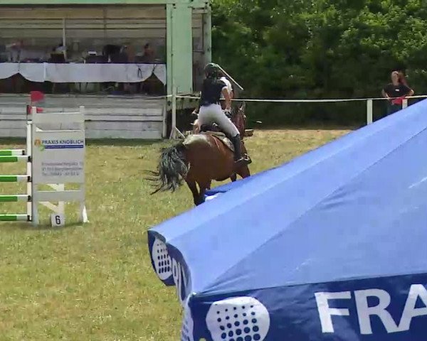 Reitturnier Bad Windsheim/Mfr. 2022