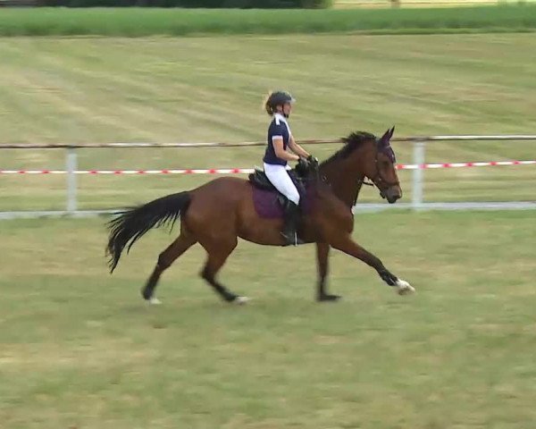 Reitturnier Bad Windsheim/Mfr. 2022