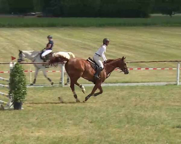 Reitturnier Bad Windsheim/Mfr. 2022