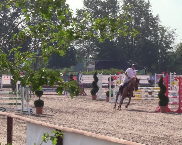 Reitturnier Pausin 2022
