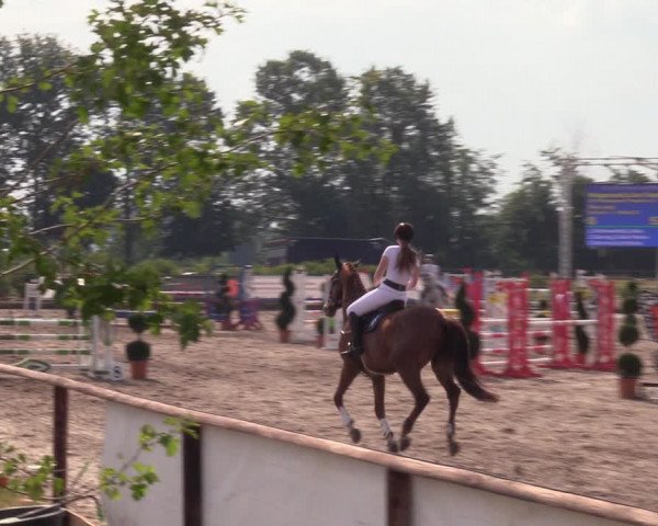 Reitturnier Pausin 2022