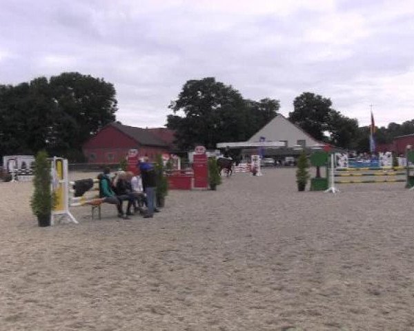 jumper Urofino 12 (Westphalian, 2008, from Upgrade)