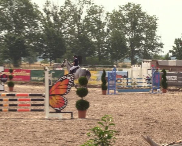 Reitturnier Pausin 2022