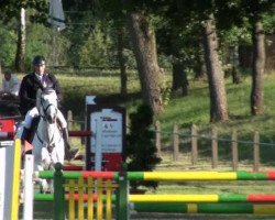 jumper Carlos 336 (Holsteiner, 1998, from Chambertin)