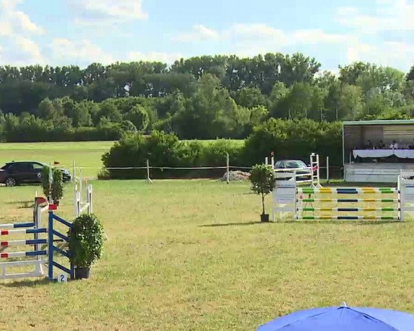 Reitturnier Bad Windsheim/Mfr. 2022