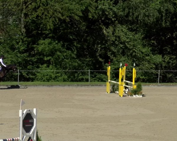 Reitturnier Maienfeld 2022