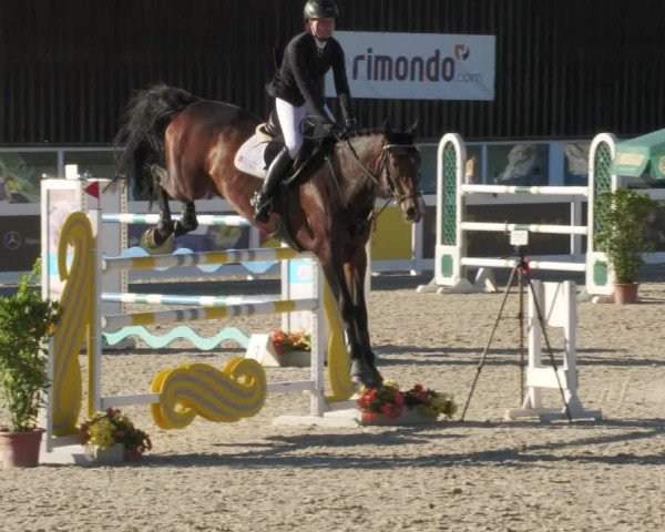 Reitturnier Memmingen/Schw. 2022