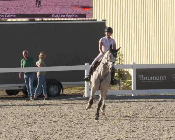 Reitturnier Memmingen/Schw. 2022