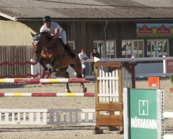Reitturnier Memmingen/Schw. 2022
