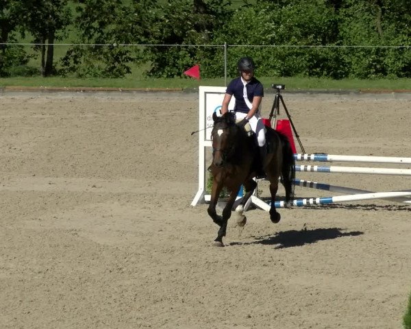 Reitturnier Maienfeld 2022