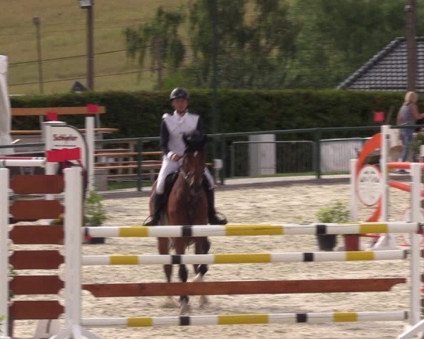 Reitturnier Immenrode 2022