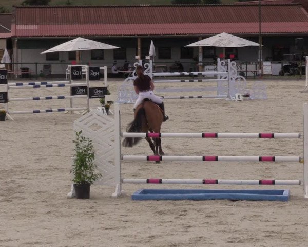 Reitturnier Immenrode 2022