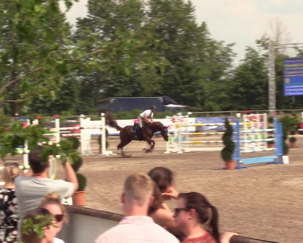 Reitturnier Pausin 2022