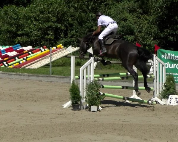 Reitturnier Maienfeld 2022