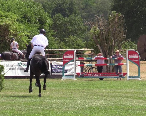 Reitturnier Schillerslage 2022