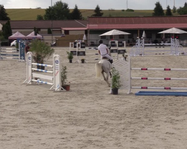 Reitturnier Immenrode 2022