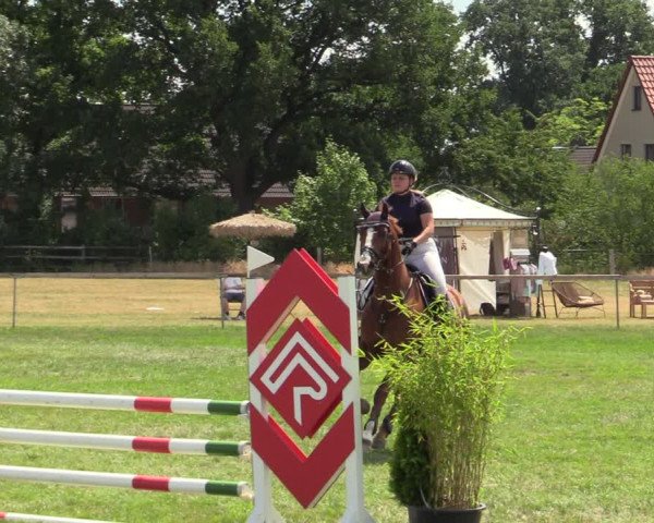 Reitturnier Schillerslage 2022