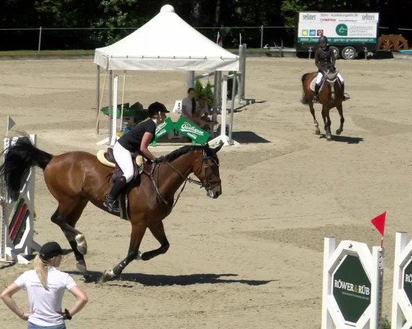 Reitturnier Maienfeld 2022