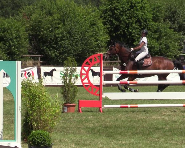 Reitturnier Schillerslage 2022