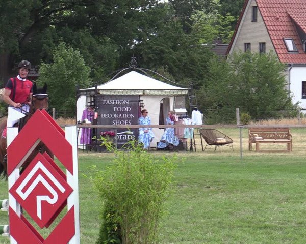Reitturnier Schillerslage 2022