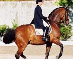 dressage horse Weinrausch (Hanoverian, 1992, from Walt Disney I)