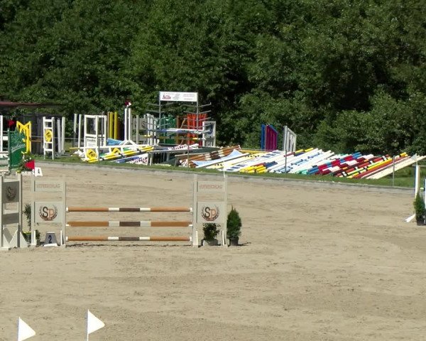 Reitturnier Maienfeld 2022