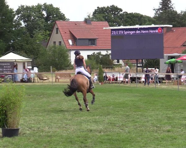 Reitturnier Schillerslage 2022
