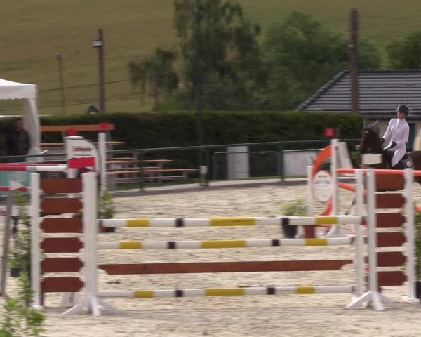 Reitturnier Immenrode 2022