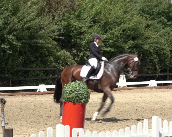 Reitturnier Schillerslage 2022
