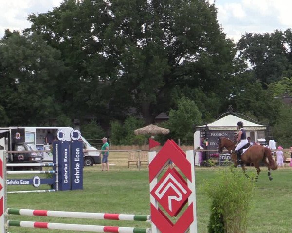 Reitturnier Schillerslage 2022