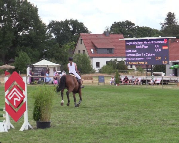Reitturnier Schillerslage 2022