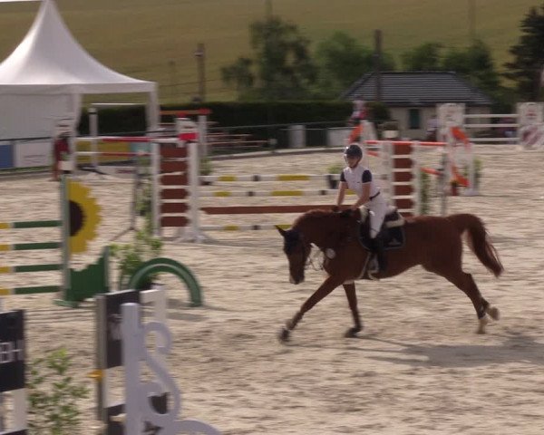Reitturnier Immenrode 2022