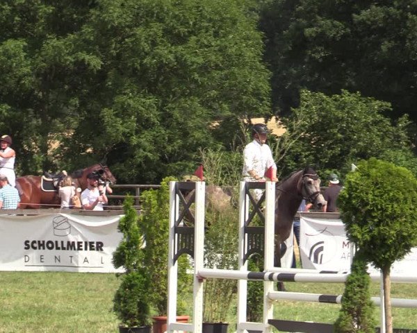 Reitturnier Schillerslage 2022