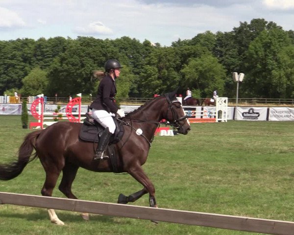 Reitturnier Schillerslage 2022