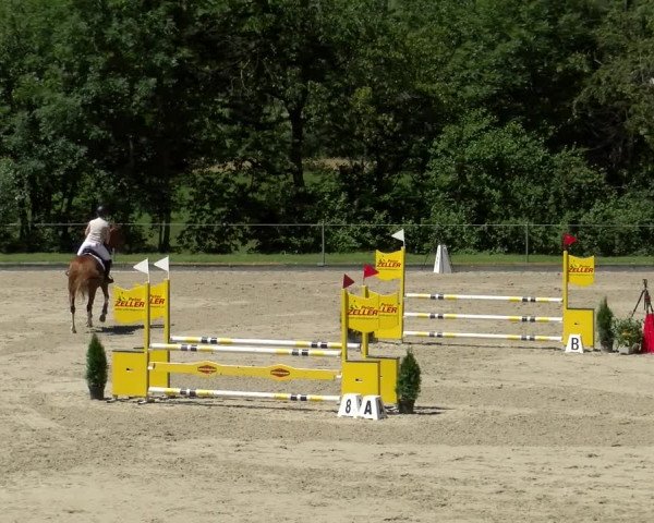 Reitturnier Maienfeld 2022