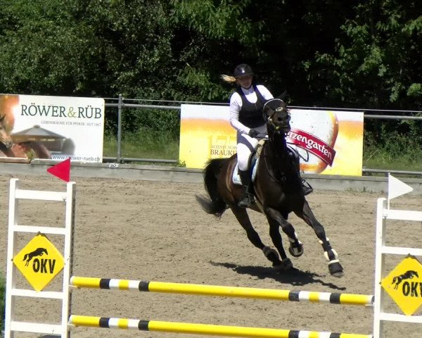 Reitturnier Maienfeld 2022