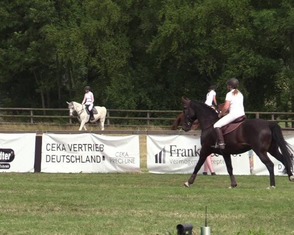Reitturnier Schillerslage 2022