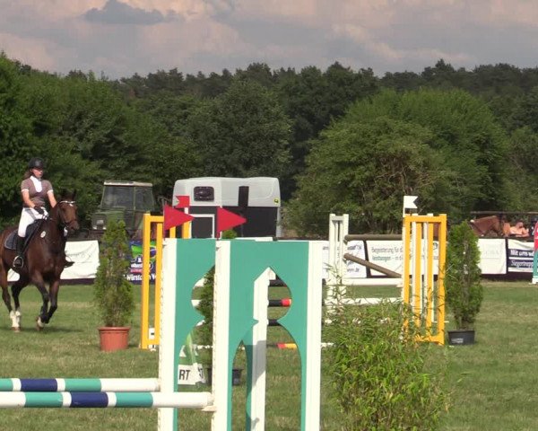 Reitturnier Schillerslage 2022
