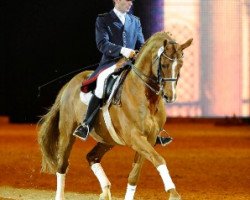 stallion Londonderry (Hanoverian, 1995, from Lauries Crusador xx)
