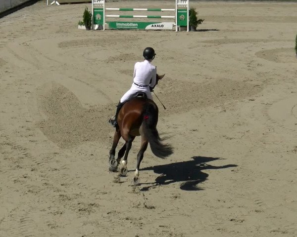 Reitturnier Maienfeld 2022