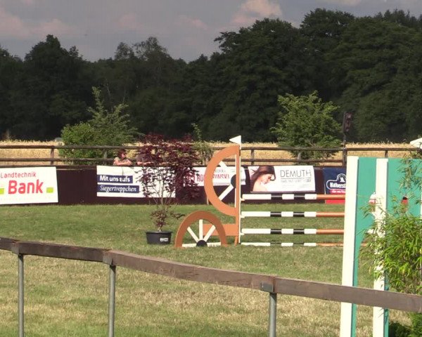 Reitturnier Schillerslage 2022