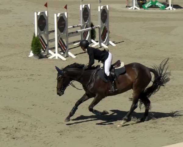 Reitturnier Maienfeld 2022