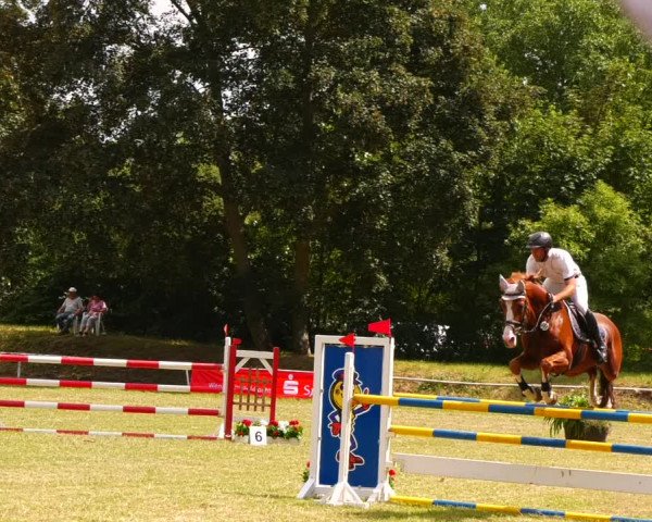 Reitturnier Schwittersdorf-Beesenstedt 2022