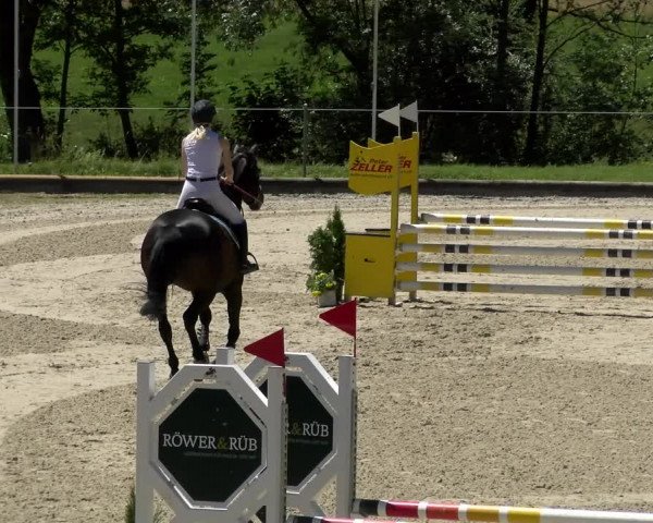 Reitturnier Maienfeld 2022