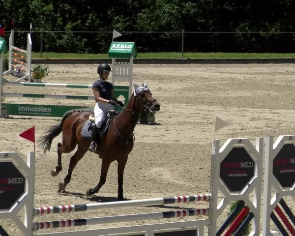 Reitturnier Maienfeld 2022