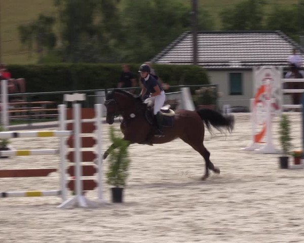 Reitturnier Immenrode 2022