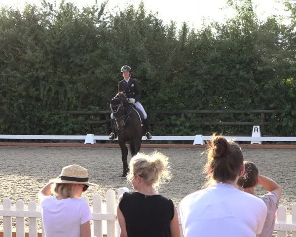 Reitturnier Schillerslage 2022
