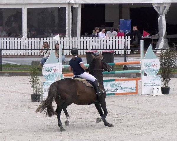 Reitturnier Gossau 2022