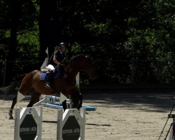 Reitturnier Maienfeld 2022